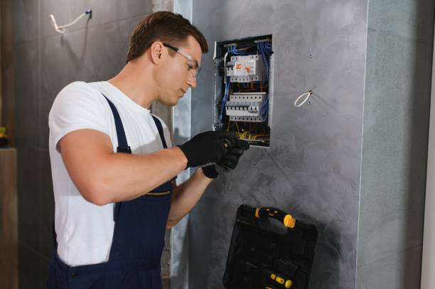Best Electrical Upgrades for Homes  in Frankfort, IL