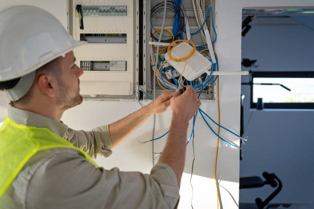 Best Electrical Upgrades for Homes  in Frankfort, IL